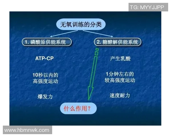 西安排球队耐力对比深度解析与战术影响探讨 西安排球队耐力对比深度解析与战术影响探讨